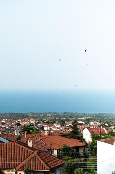 Olympian Panorama Litochoro