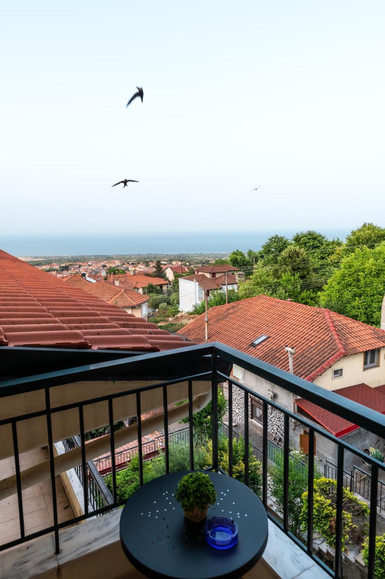 Apartment Olympian Panorama